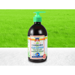 Palacio Flex kühlendes Massagegel - 500 ml