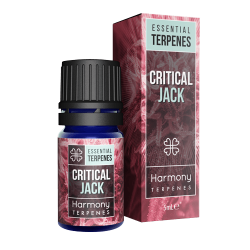 Harmony Critical Jack Terpene (5 ml)